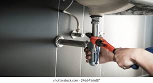 Best Garbage Disposal Repair and Installation  in Valencia West, AZ